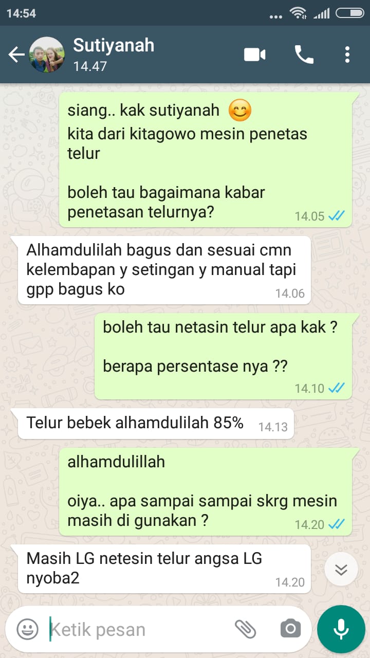 TESTI BEBEK